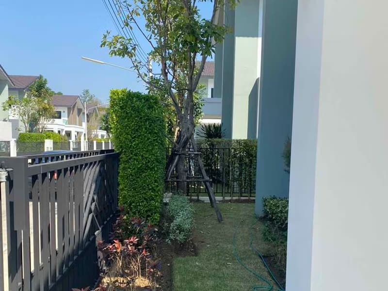 House for Rentat Belive Sansai - Maejo 
