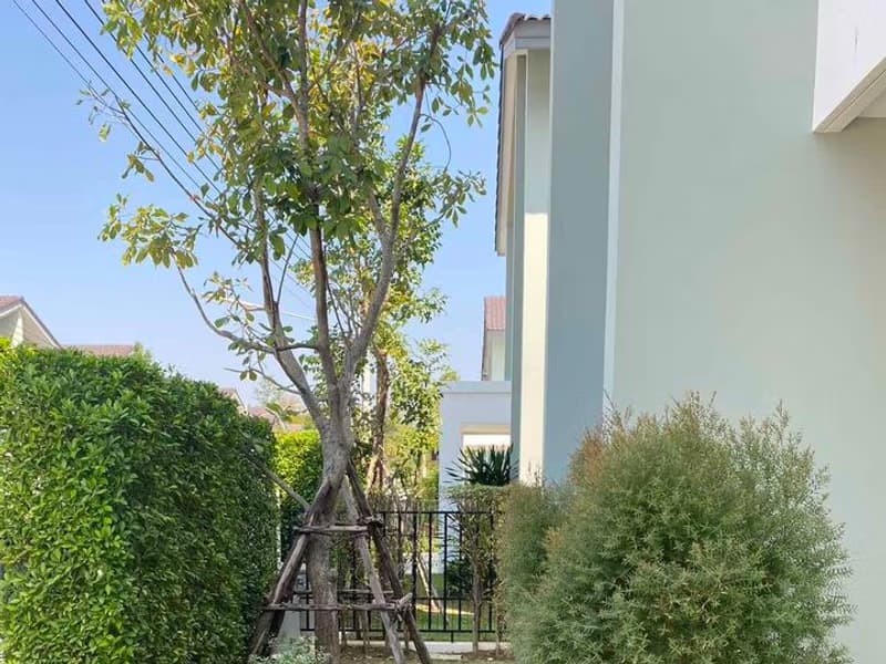 House for Rentat Belive Sansai - Maejo 