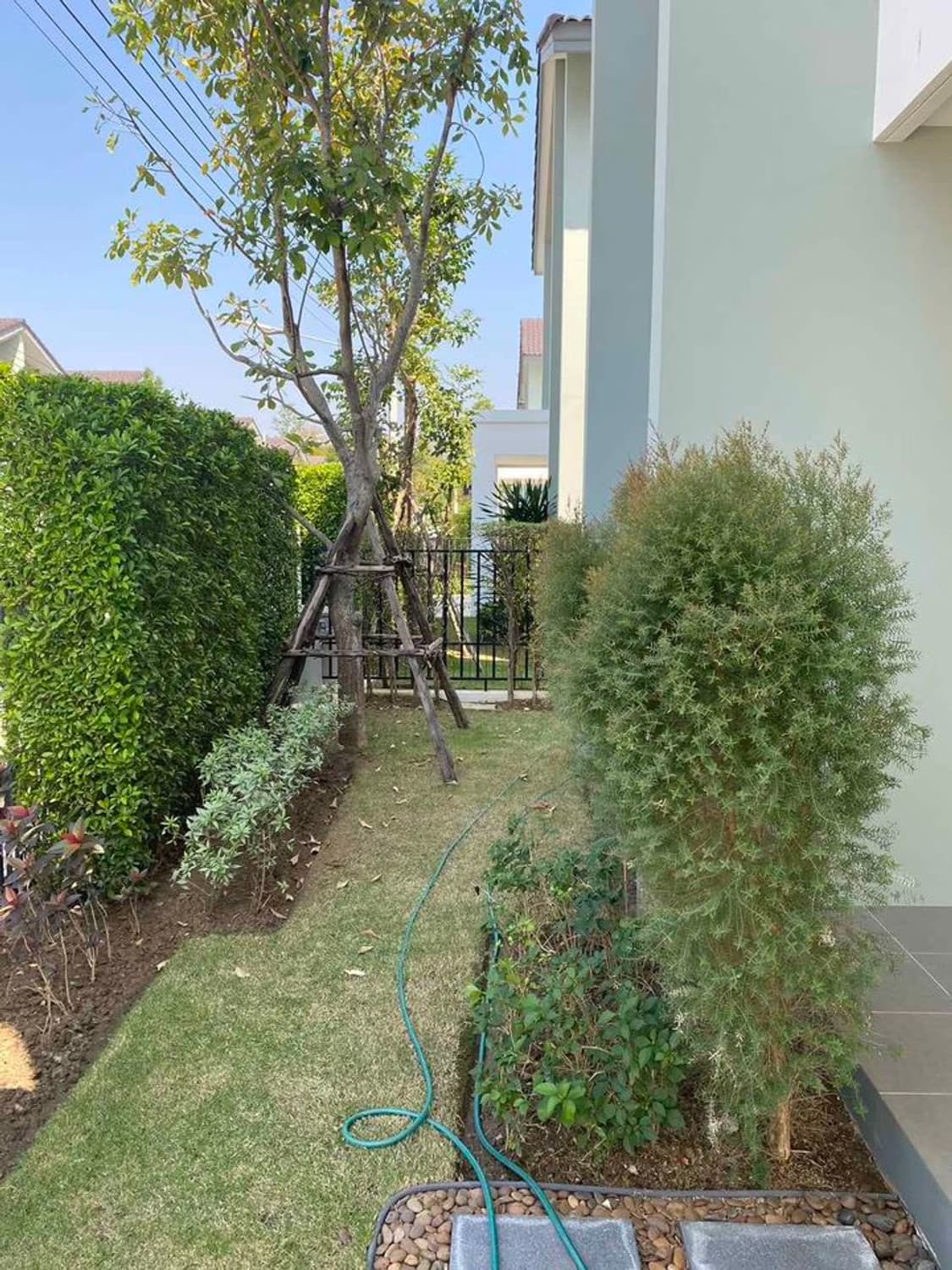 House for Rentat Belive Sansai - Maejo  - Image 9