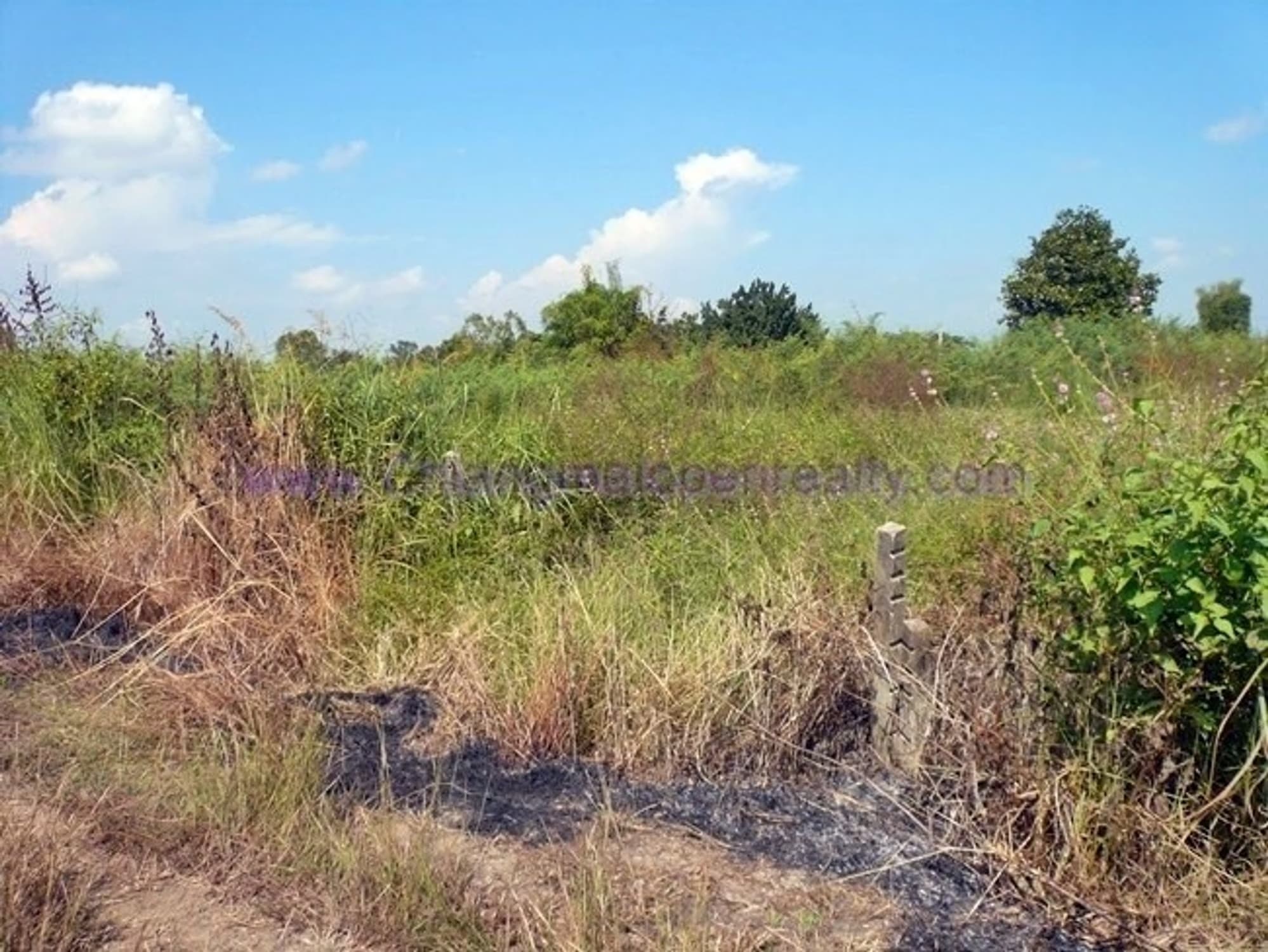  Land for Sale in Ban Na Doem District - Image 1