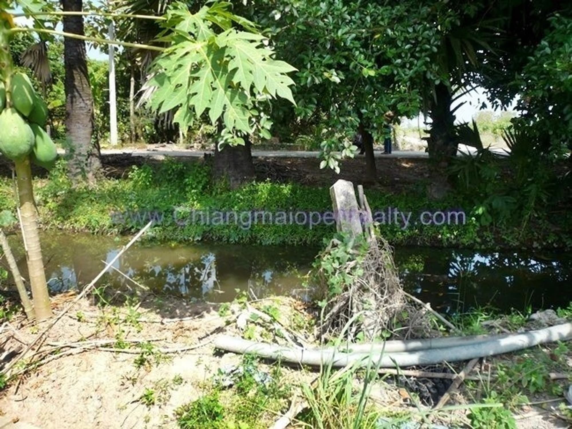  Land for Sale in Ban Na Doem District - Image 3