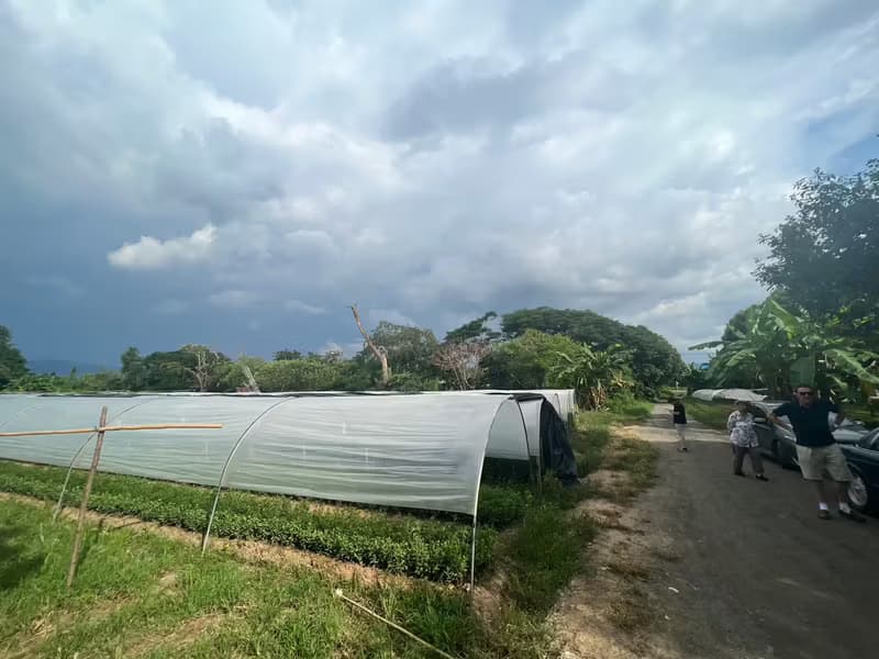 Land for Sale in Mueang Kaeo, Mae Rim