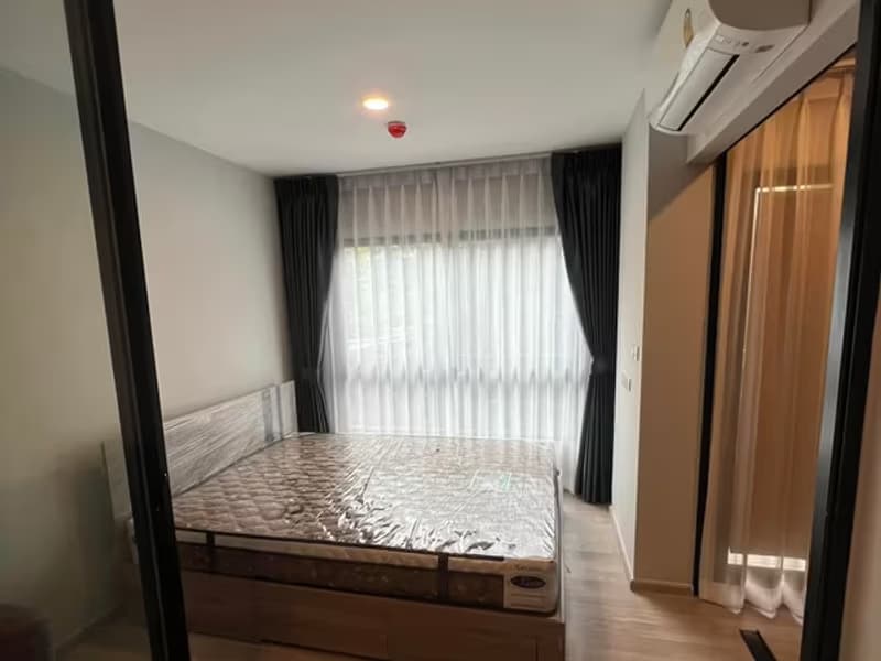 Condo for Rent at Plum  Sukhumvit 97.1