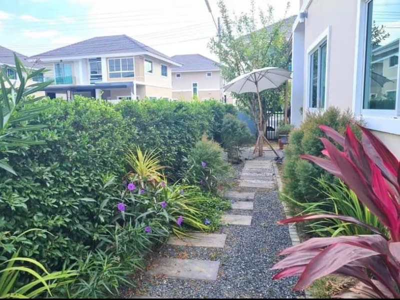 House for Rent in Chai Sathan, Saraphi.