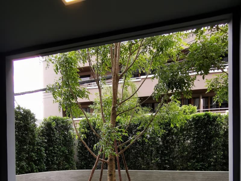 Condo for Rent, Sale at Taka Haus Ekkamai 12