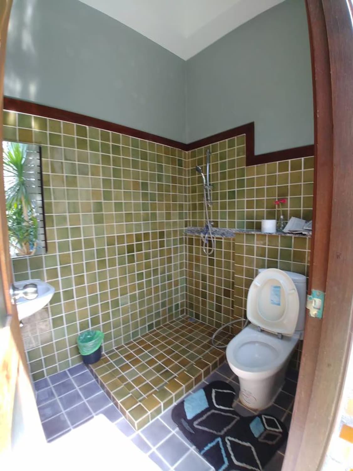  - Image 7