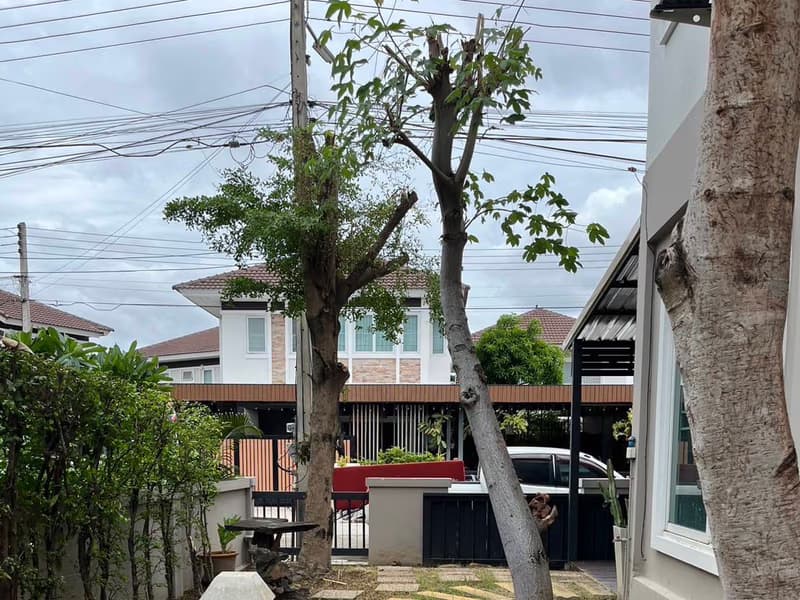 3 Bed House for Rent in Doi Saket
