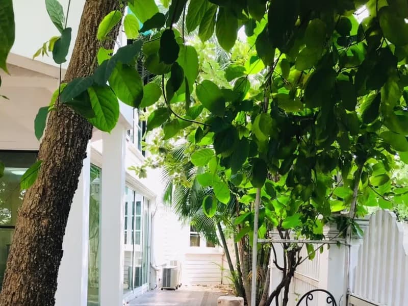 Townhouse for Sale, Rent at Fantasia Villa 2