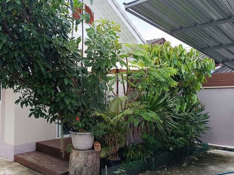 4 Bed House for Rent in Hang Dong District