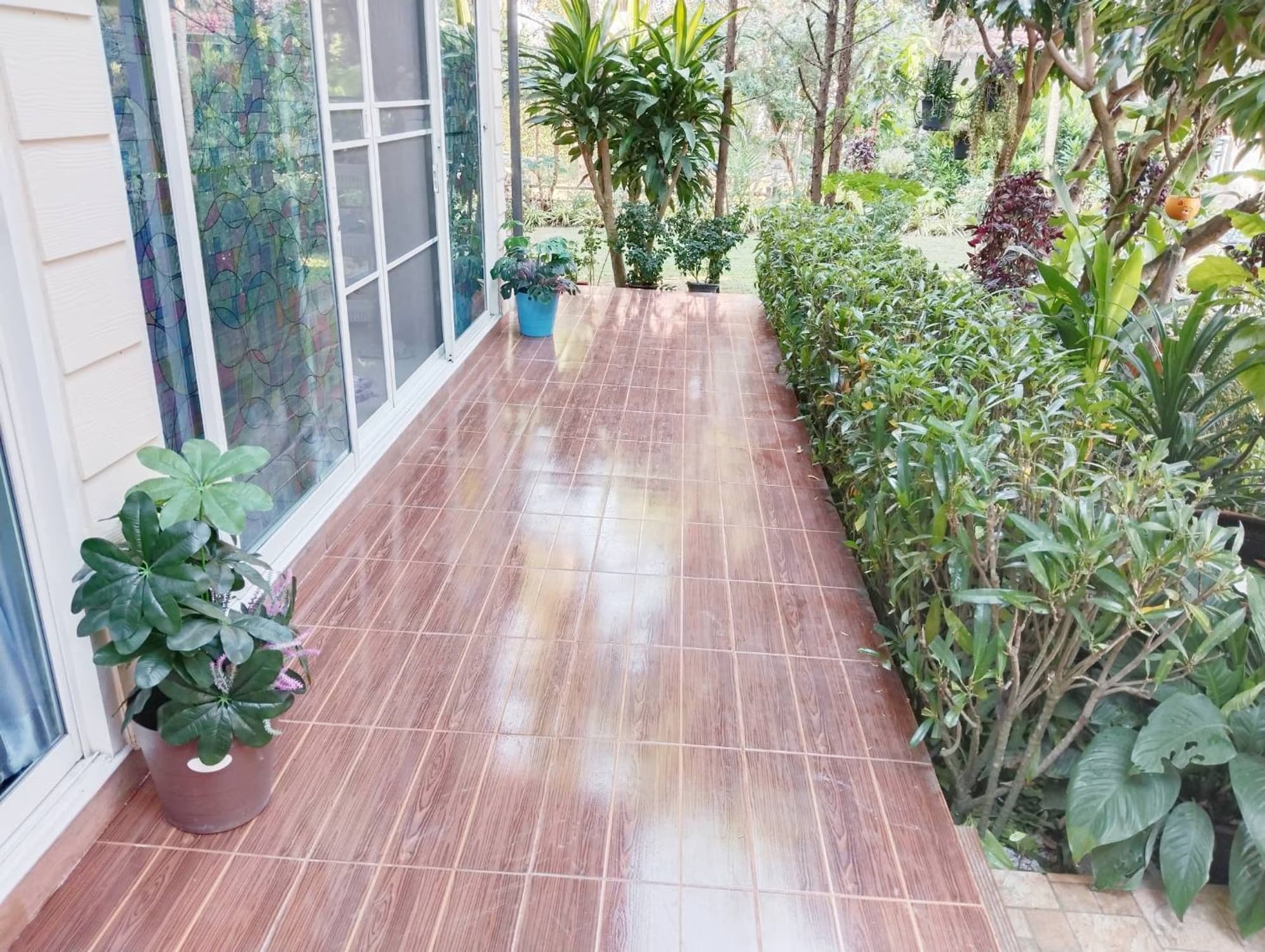 3 Bedroom House for Sale in Doi Saket - Image 21