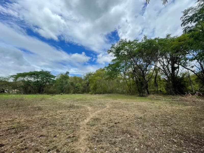  Land for Sale in Doi Saket District