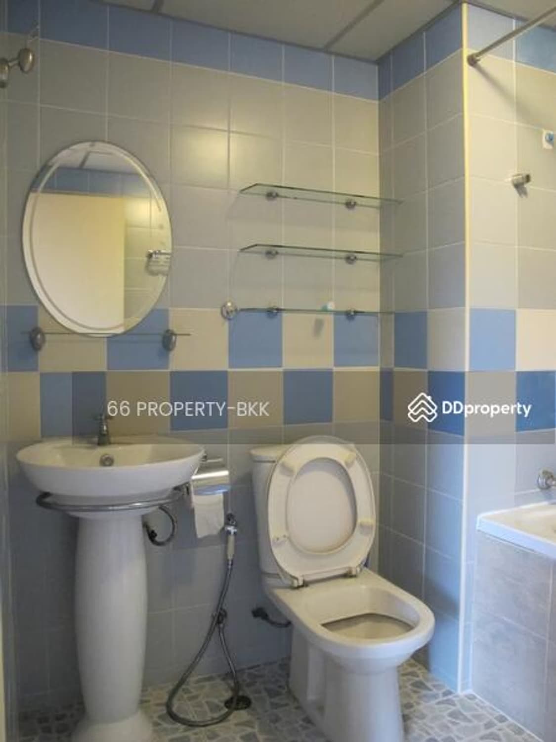  - Image 5