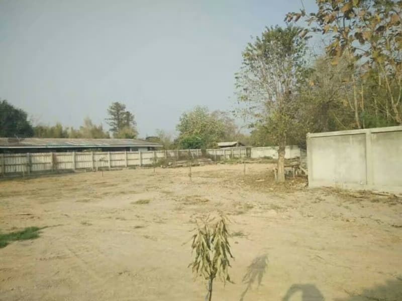 Land for Sale in อำเภอสันป่าตอง