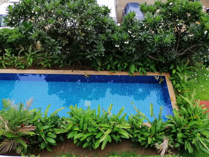 Condo for Rent at One Plus Nineteen 4 Condominium