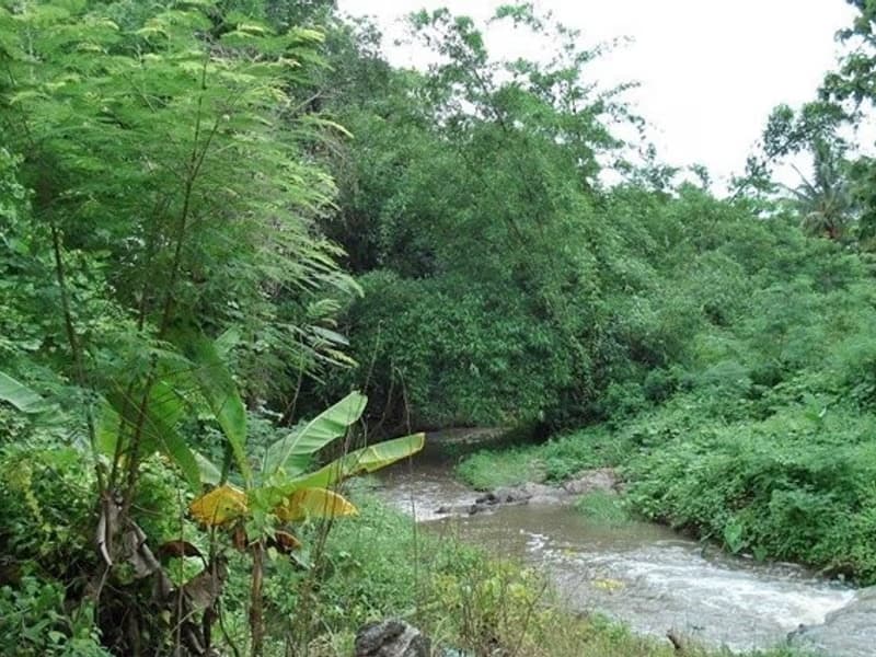  Land for Sale in Mueang Lamphun