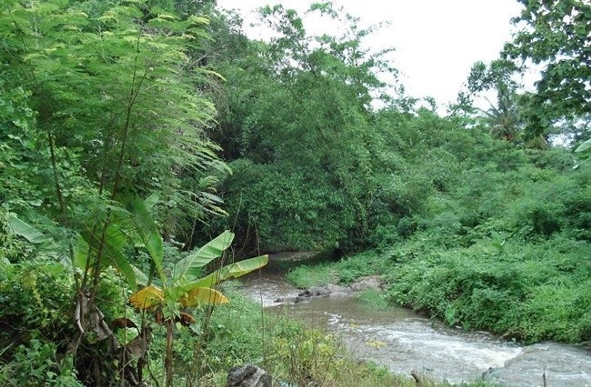  land 用于 出售 在 Mueang Lamphun - Image 5