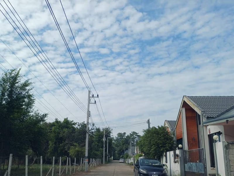  Land for Sale in San Sai District
