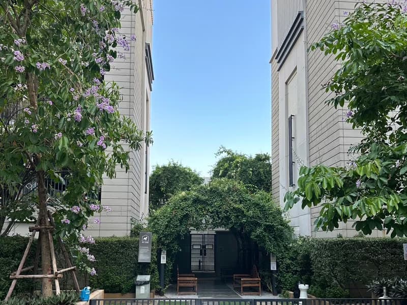 Condo for Rent at Maestro 03 Ratchada-Rama 9