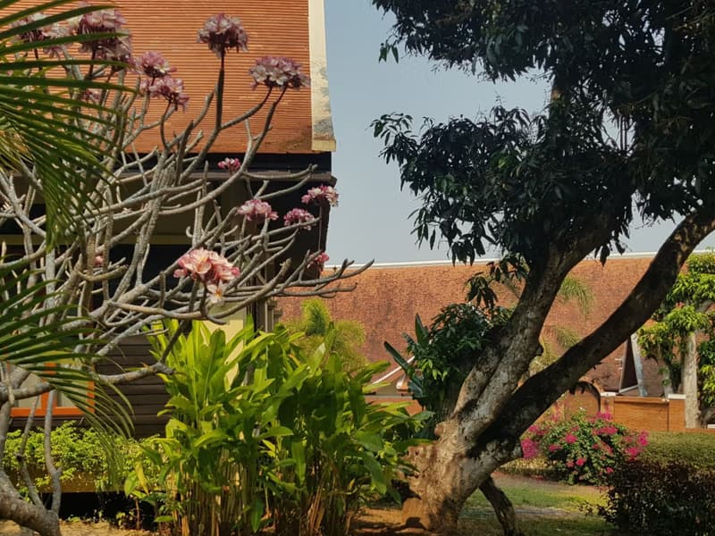 3 Bed House for Rent and Sale in Mae Rim