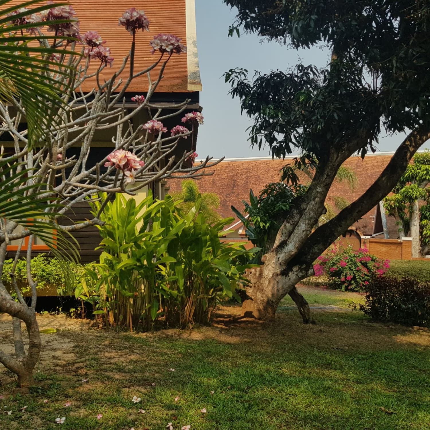 3 ห้องนอน บ้าน สำหรับ ขายและจำหน่าย ใน Mae Rim - Image 15