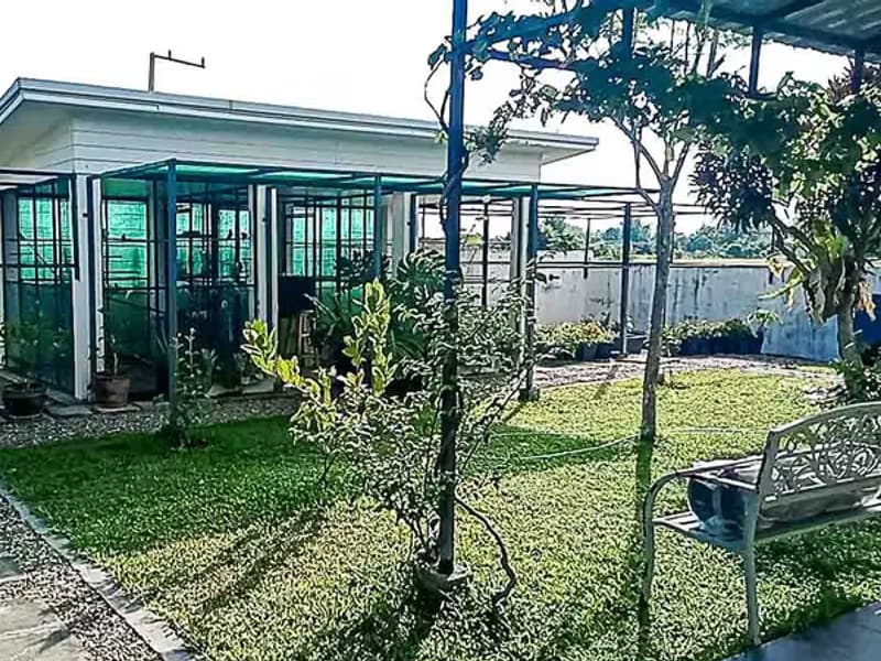 Doi Saket House