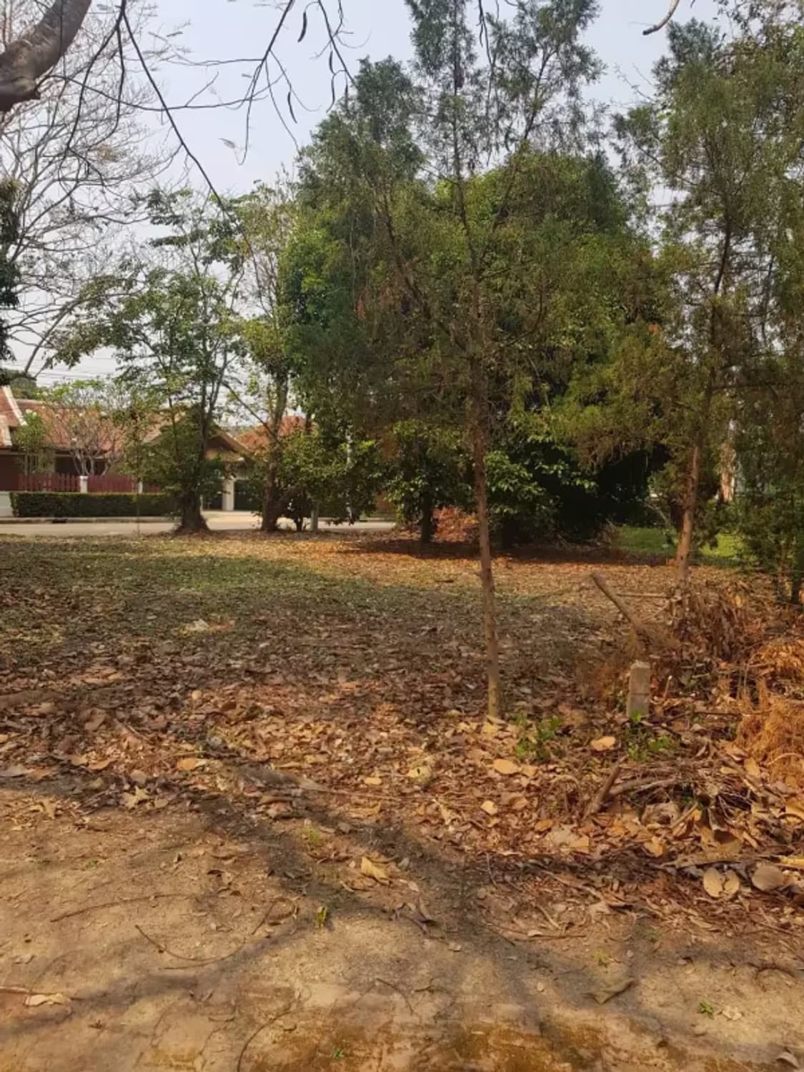 Land for Sale in Mae Sa, Mae Rim - Image 7