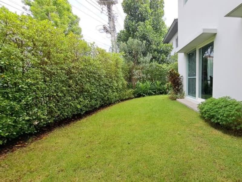 4 Bed House for Rent in San Kamphaeng
