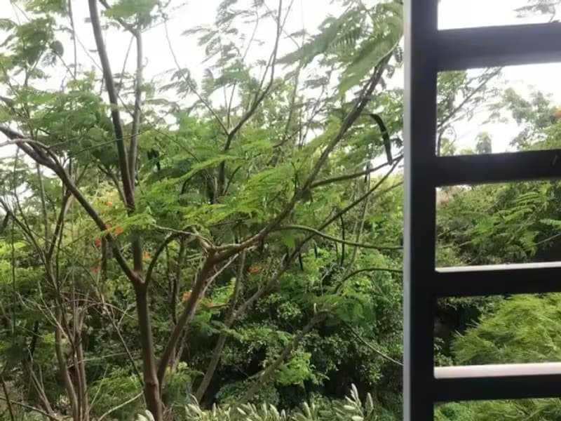 1 Bedroom Condo