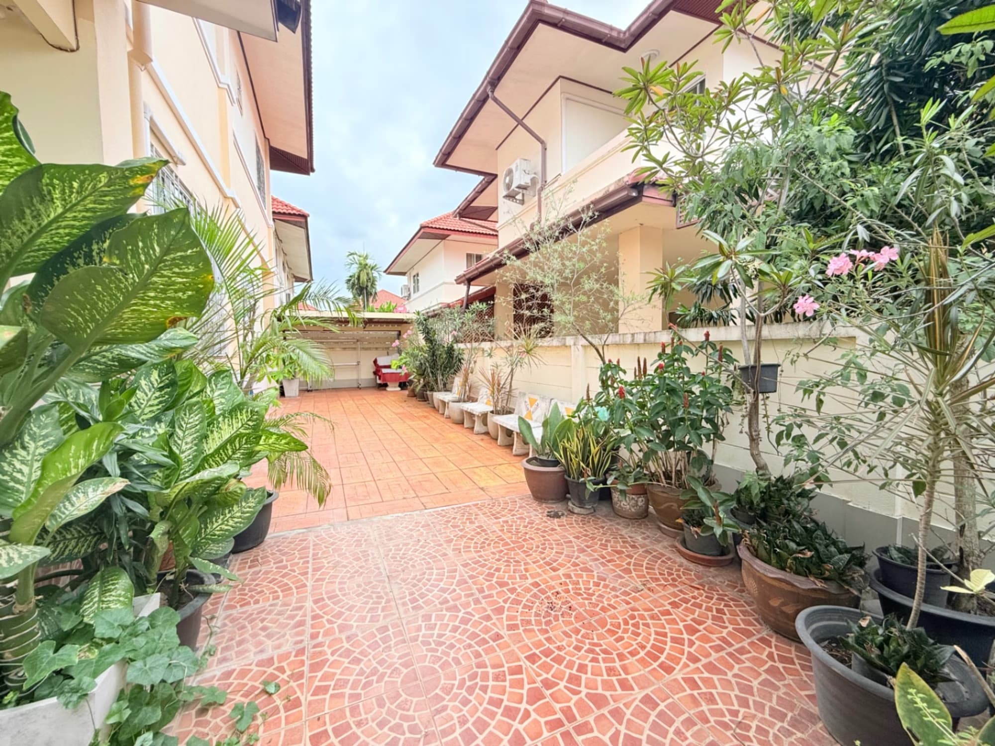 3 Bed House for Rent in Hang Dong - Image 2