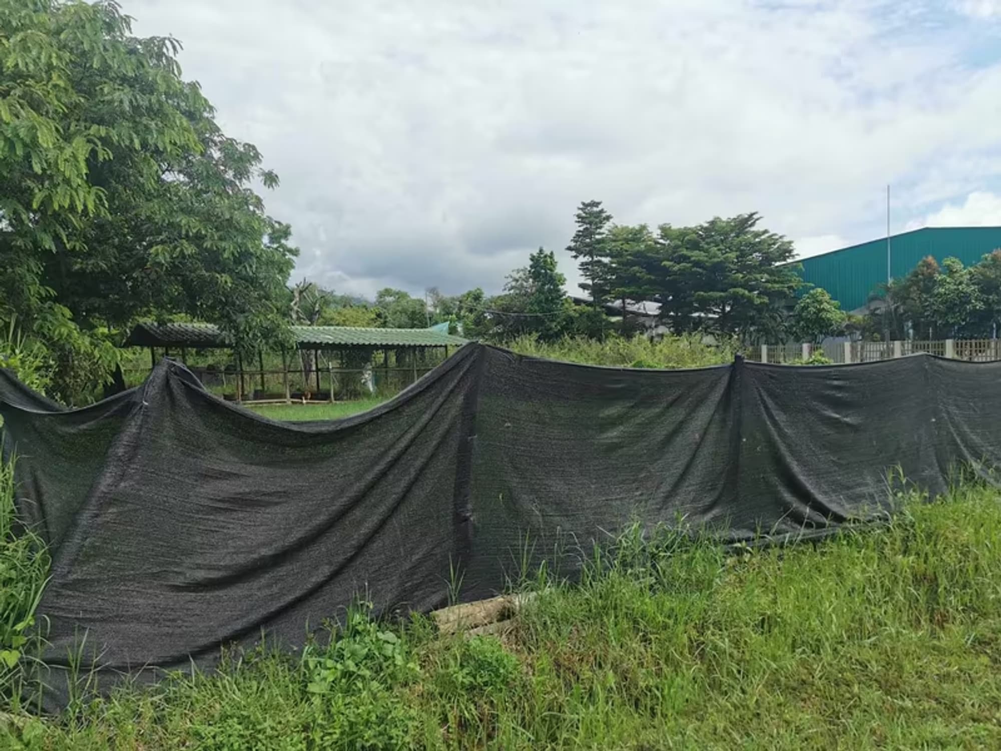 Land for Sale in Nong Khwai, Hang Dong - Image 2