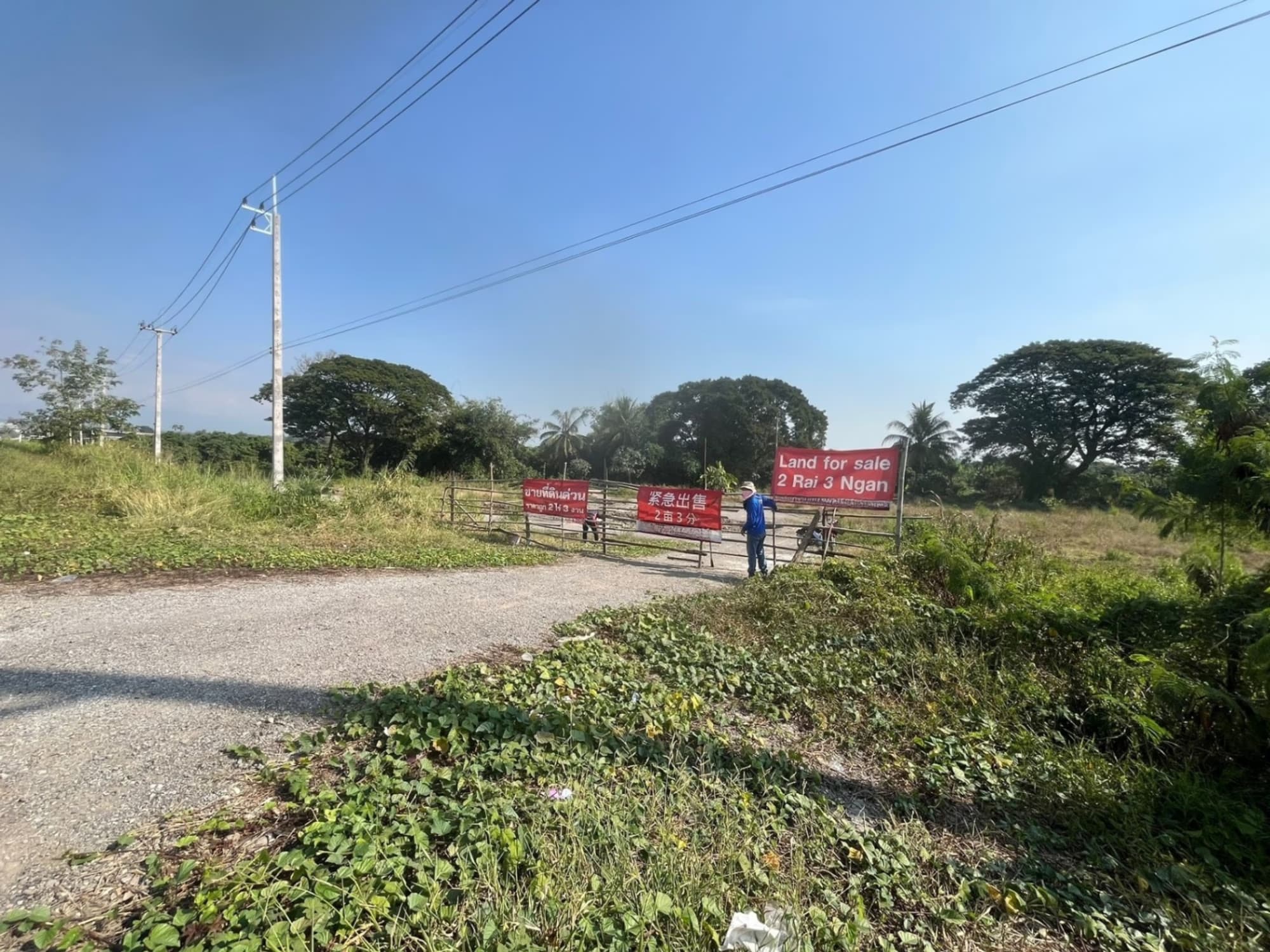  land สำหรับ ขาย ใน San Pa Tong District - Image 5
