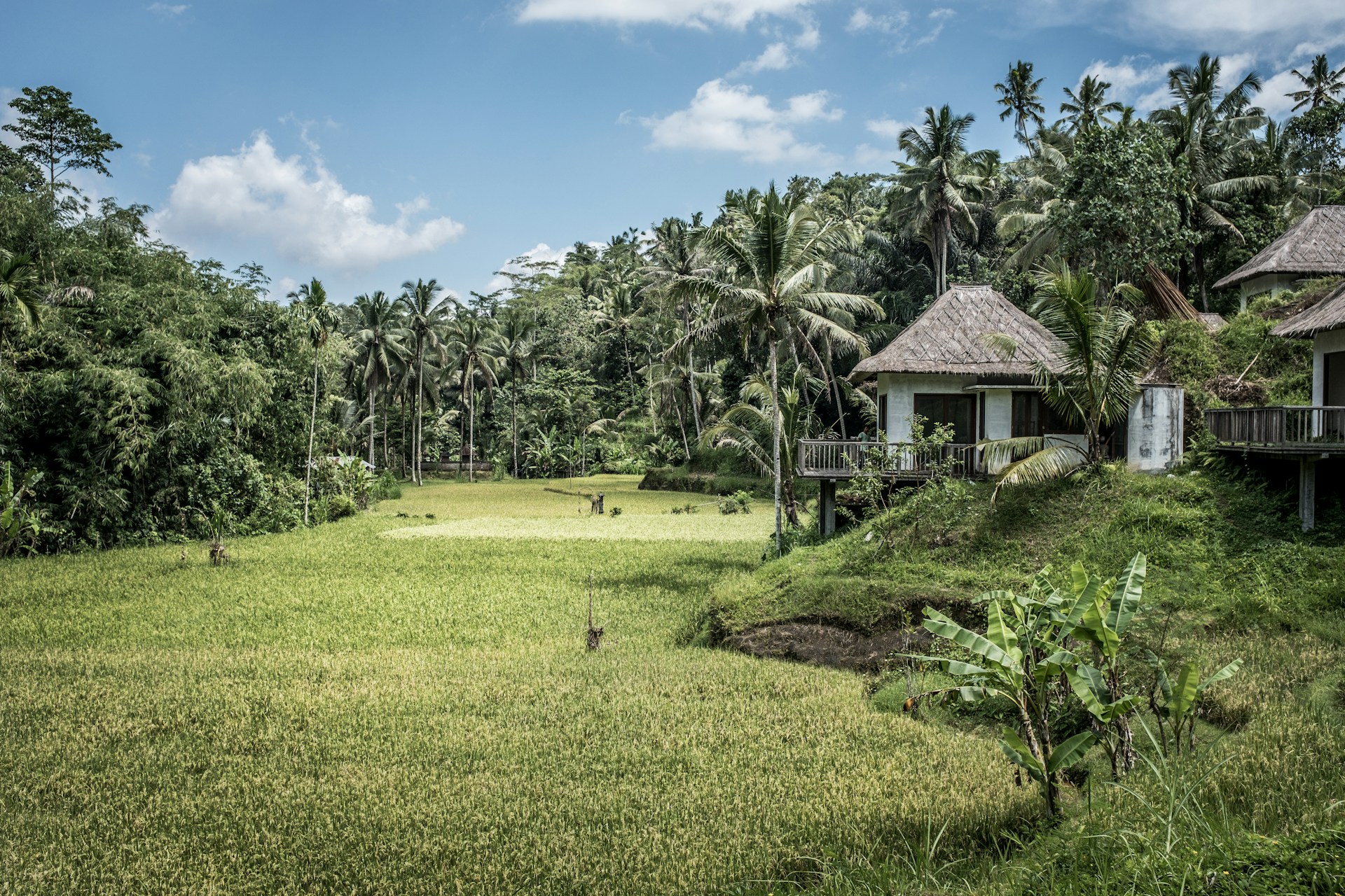Up North Property banner