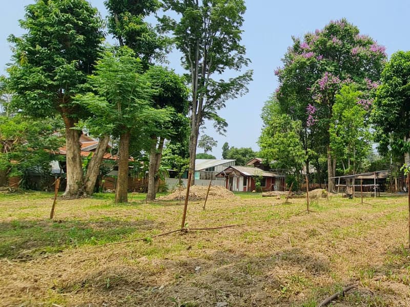 Land for Sale in Nong Phueng, Saraphi