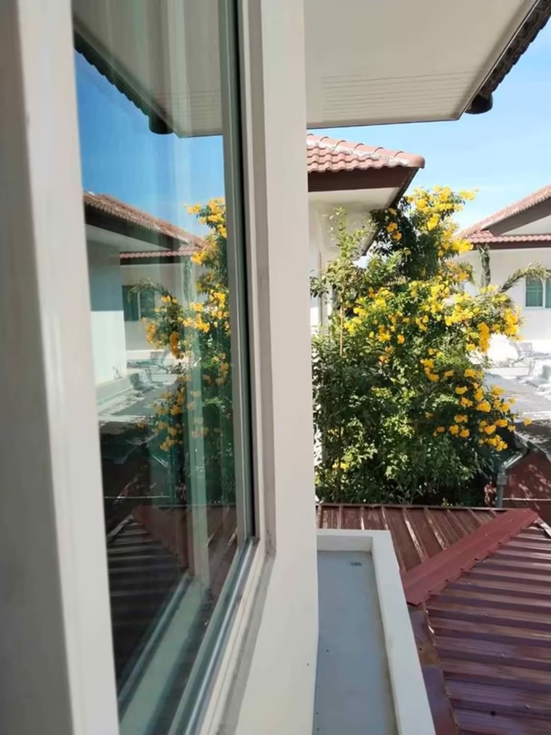 House for Rent in Tha Sala, Mueang Chiang Mai. - Image 4