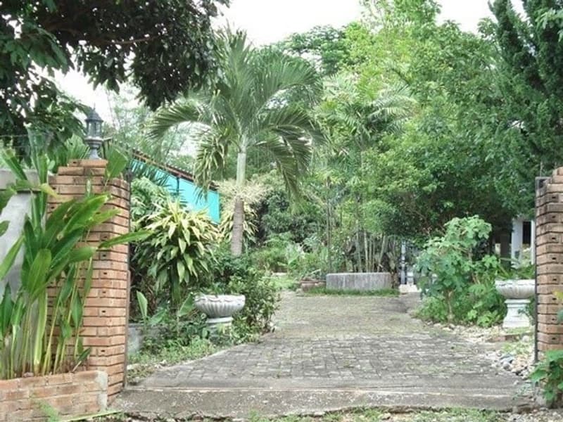  Land for Sale in Mueang Lamphun