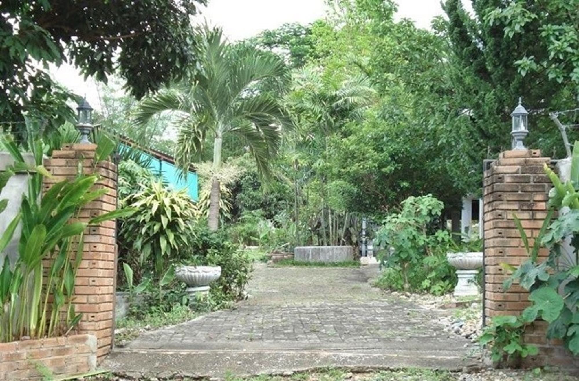  land 用于 出售 在 Mueang Lamphun - Image 8