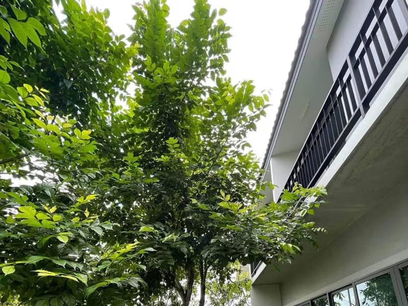 House for Rent in Ban Waen, Hang Dong.
