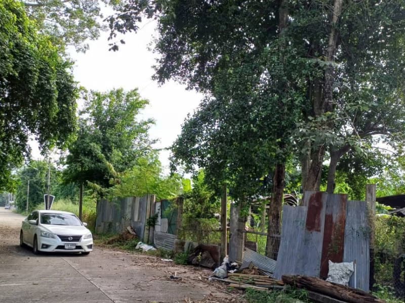  Land for Sale in San Sai District