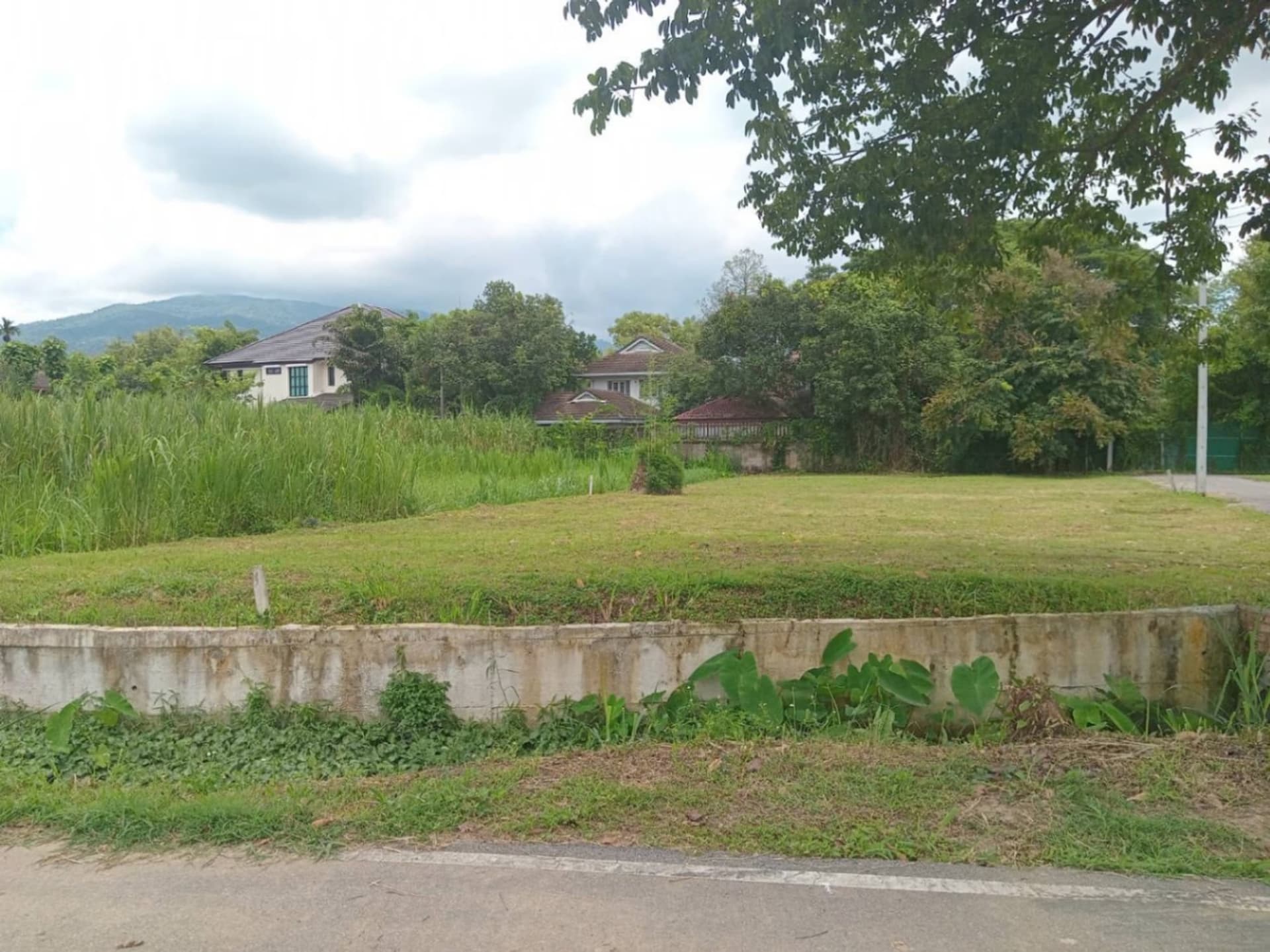  land สำหรับ ขาย ใน Mueang Chiang Mai District - Image 5