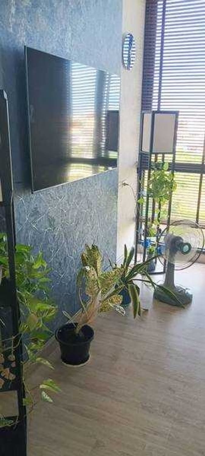 1 Bed Condo for Sale in Samoeng - Image 4
