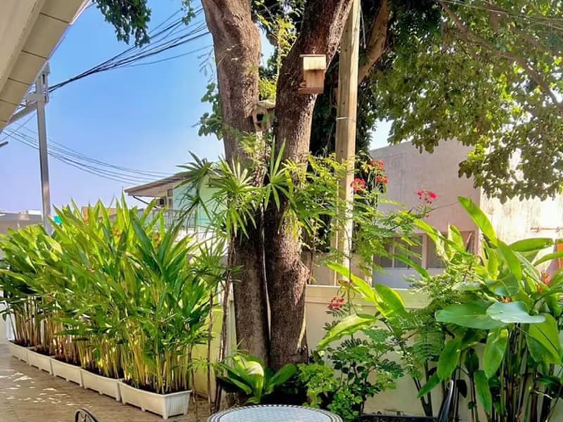 House for Rent in Suthep, Mueang Chiang Mai.