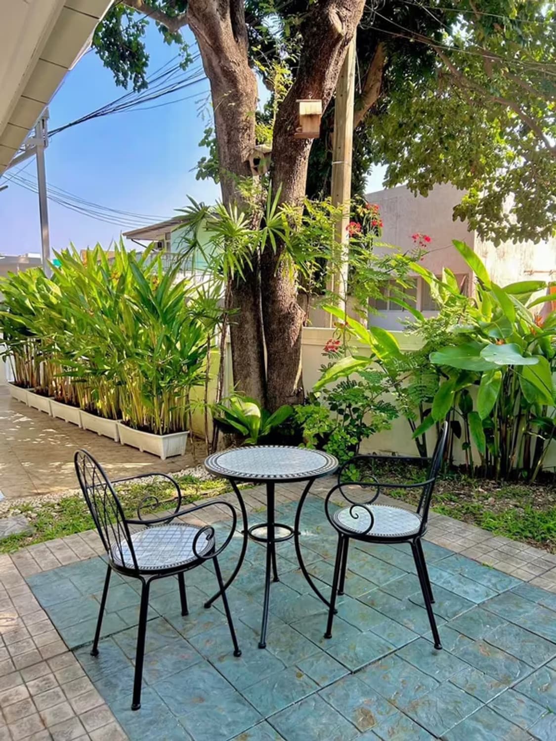 House for Rent in Suthep, Mueang Chiang Mai. - Image 6