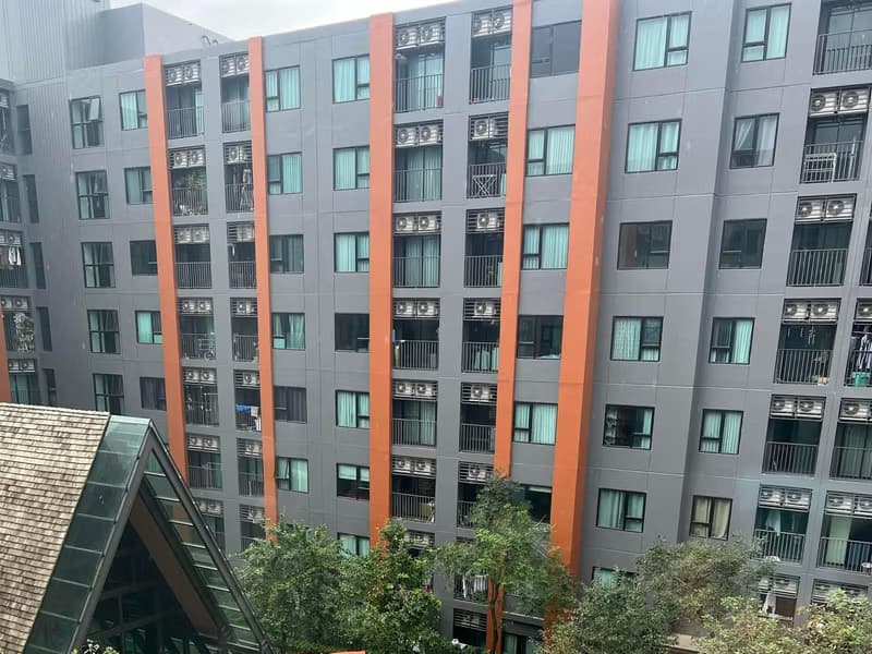 1 Bedroom Condo