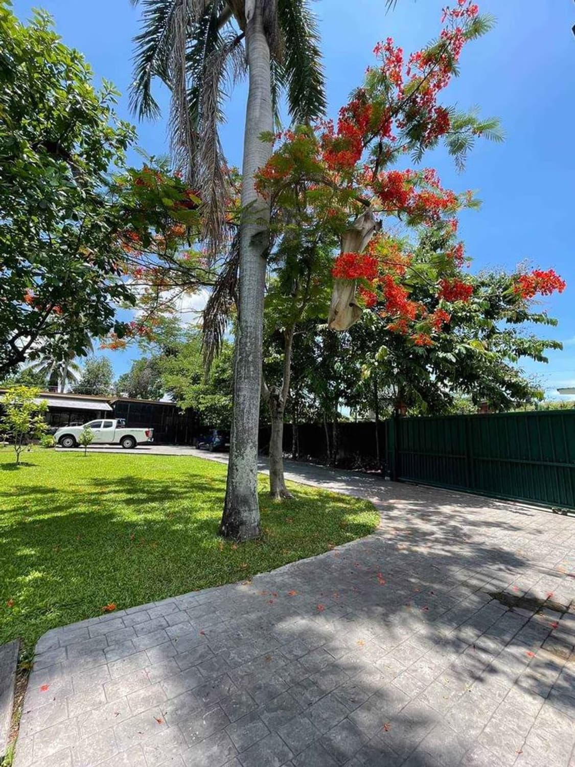 House for Sale in , San Sai.   - Image 12