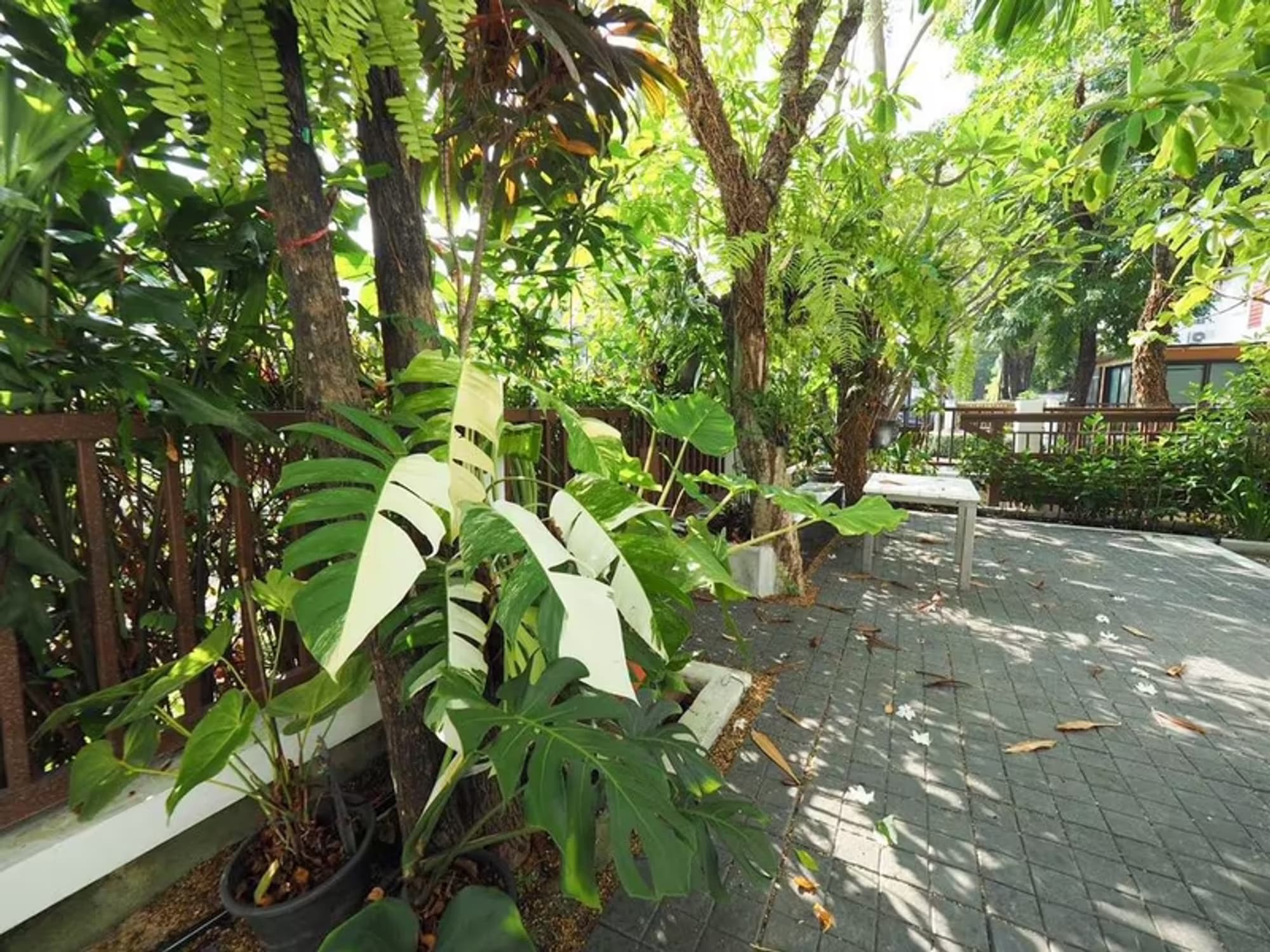 House for Rent at Blue Lagoon - Image 13
