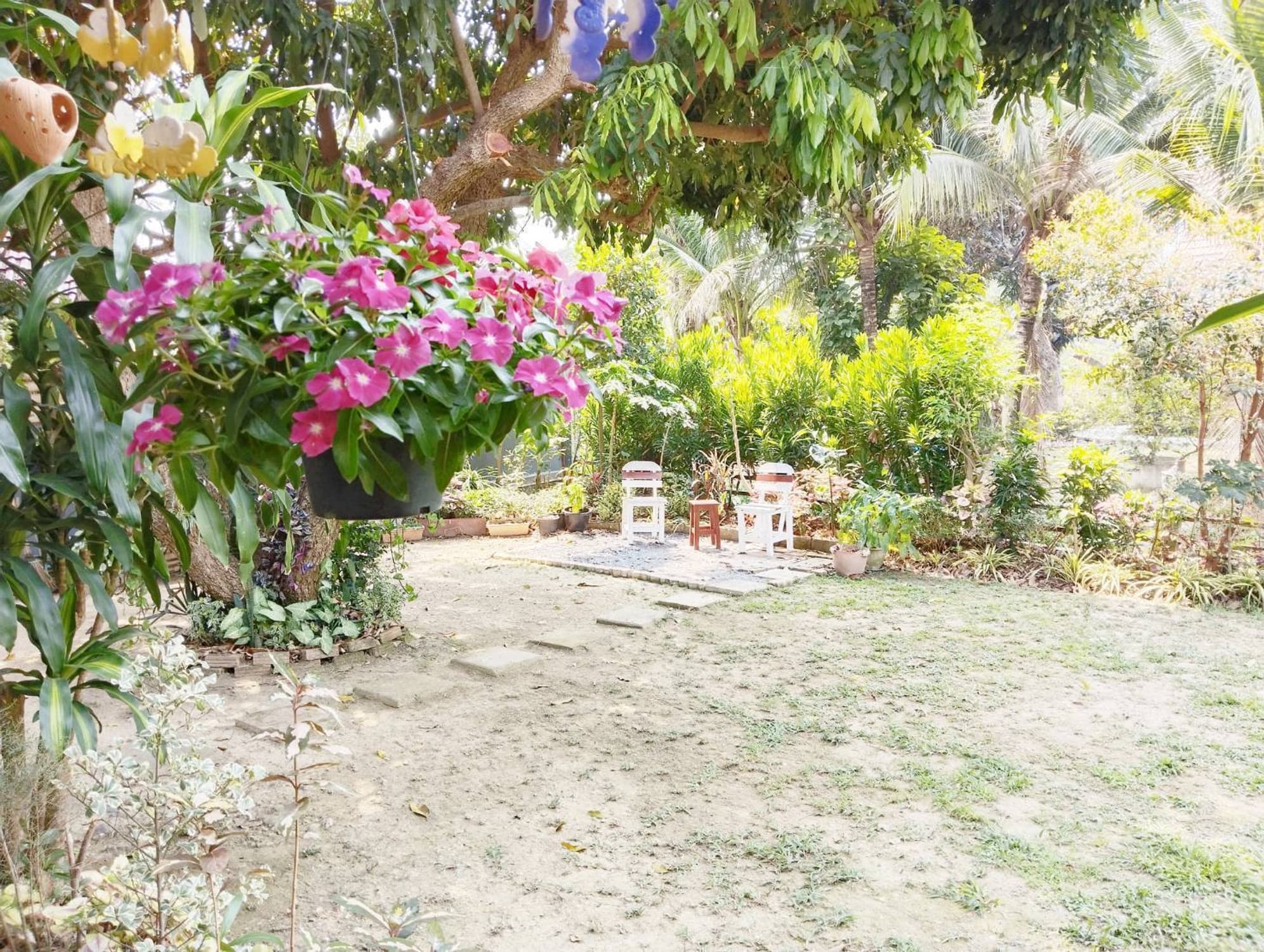 3 Bedroom House for Sale in Doi Saket - Image 2