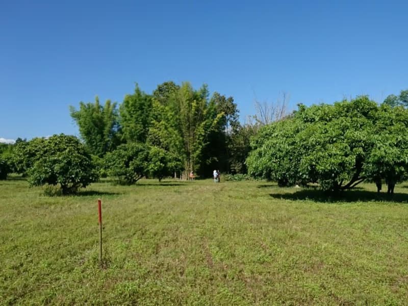  Land for Sale in Hang Dong District
