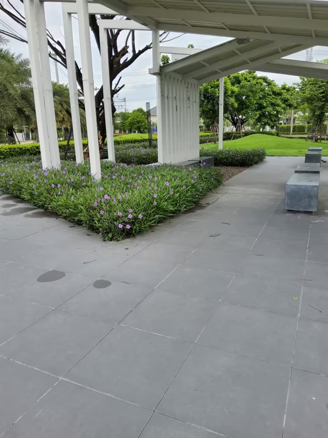  - Image 5