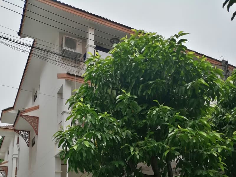 House for Sale, Rent in Suthep, Mueang Chiang Mai.