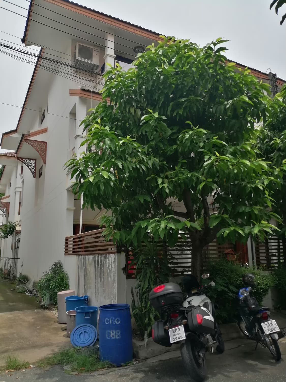 House for Sale, Rent in Suthep, Mueang Chiang Mai. - Image 10